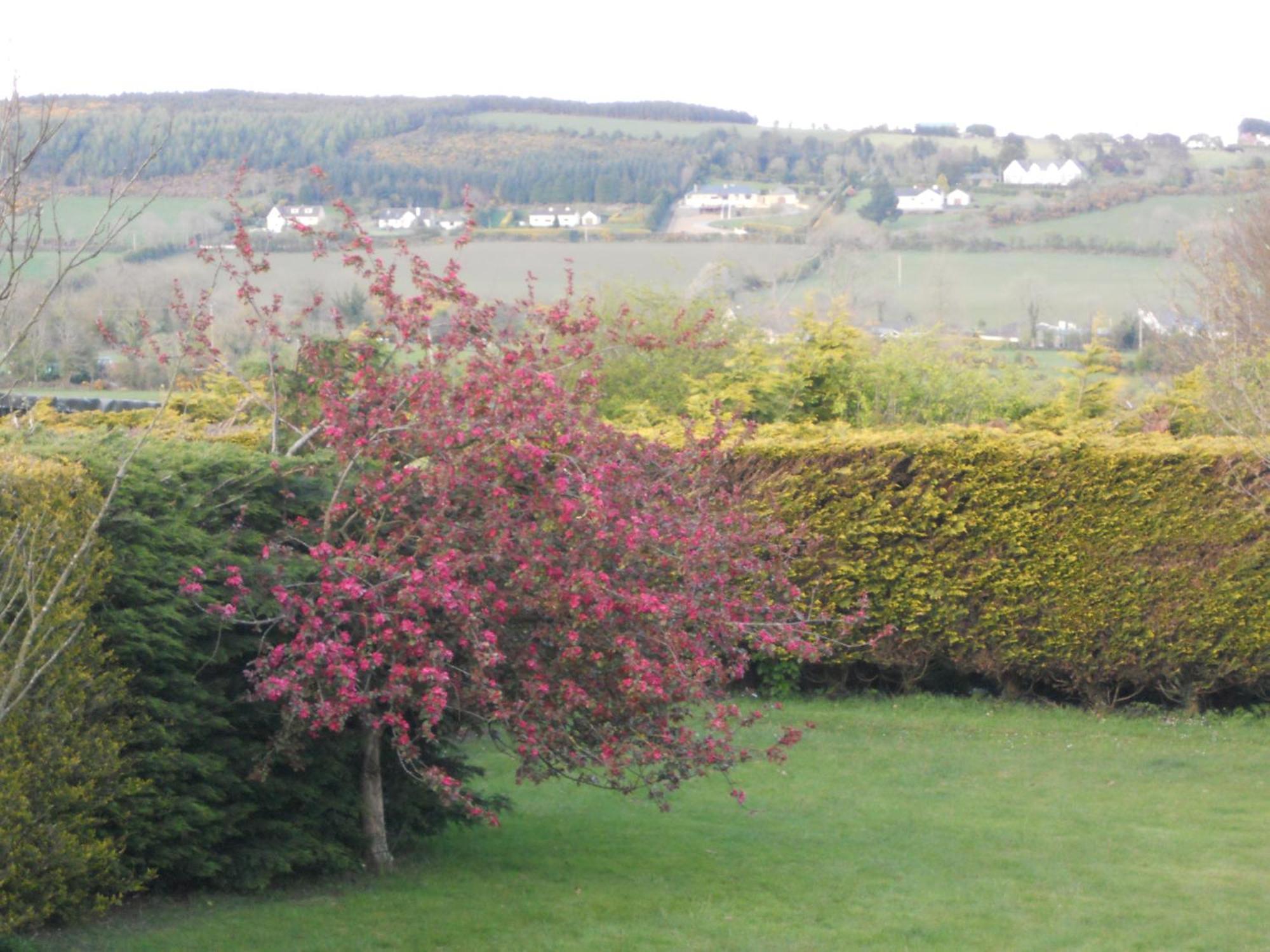 Rhu Glenn Hotel Waterford Exterior foto