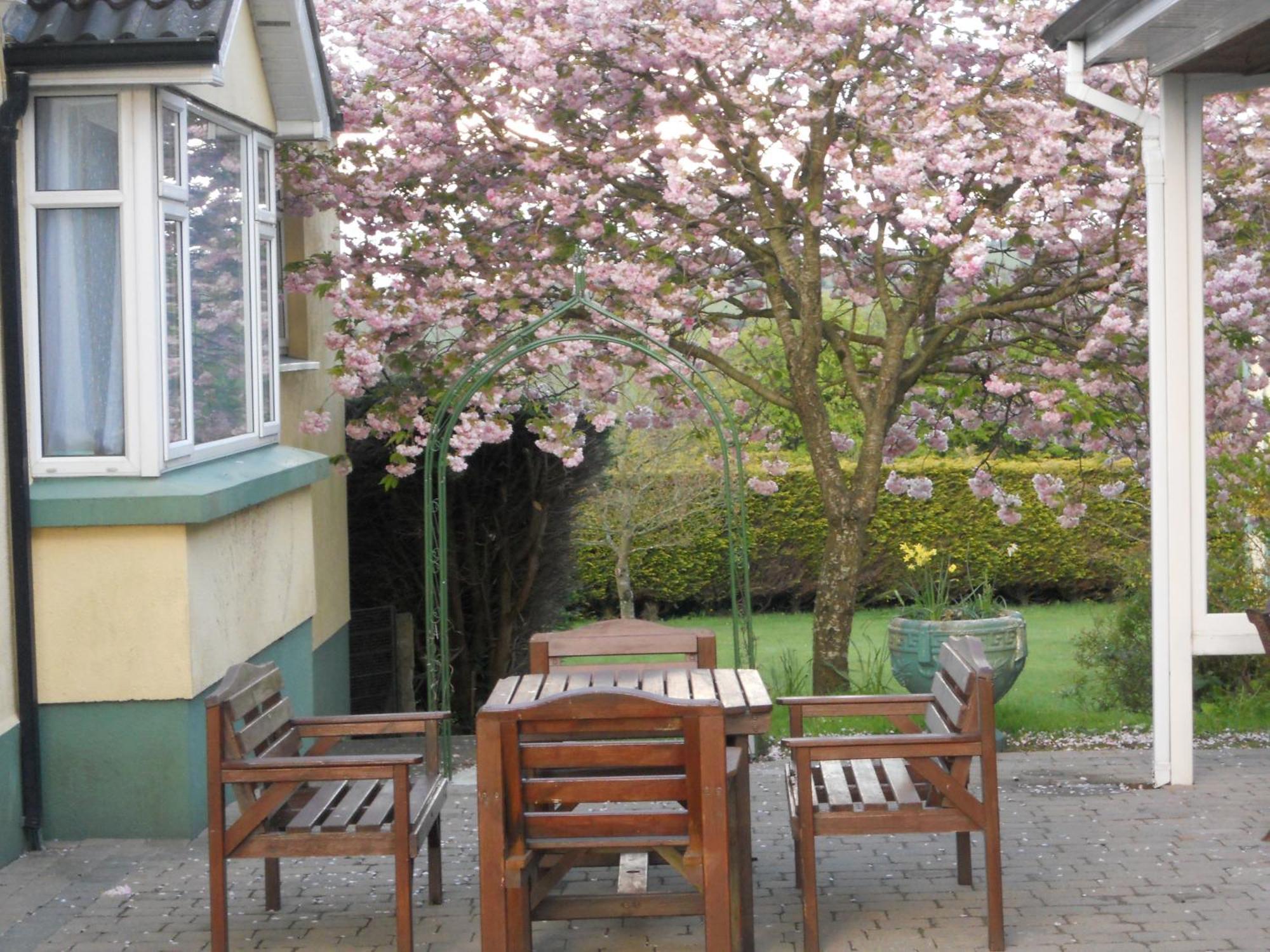 Rhu Glenn Hotel Waterford Exterior foto